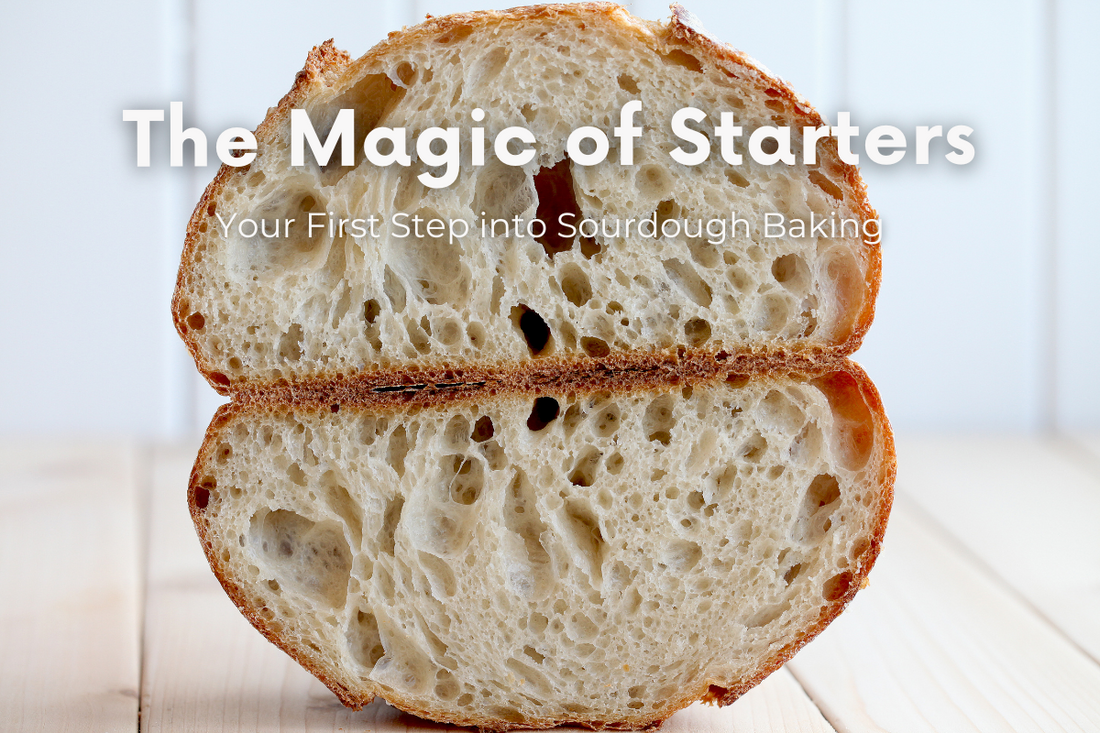 The Magic of Starters: Your First Step into Sourdough Baking